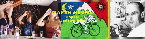 гашик Алзамай