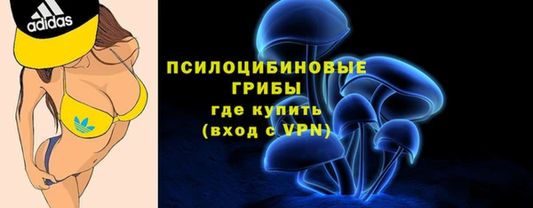 гашик Алзамай