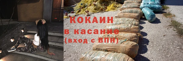 гидра Рославль
