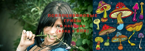 каннабис Алексеевка