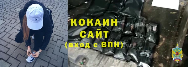 гашик Алзамай