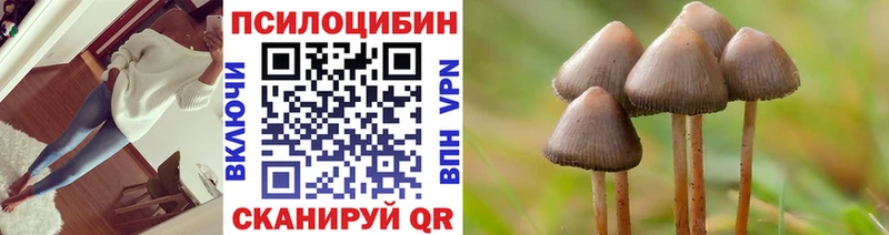Псилоцибиновые грибы GOLDEN TEACHER  ОМГ ОМГ как войти  Харовск 